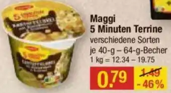 V Markt Maggi 5 Minuten Terrine 40 g-64 g Becher Angebot