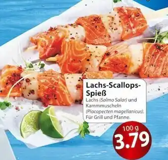 Famila Nord Ost Lachs-scallops-spieß Angebot