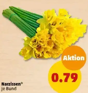 PENNY Narzissen Angebot