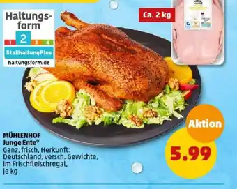 PENNY MÜHLENHOF Junge Ente Angebot