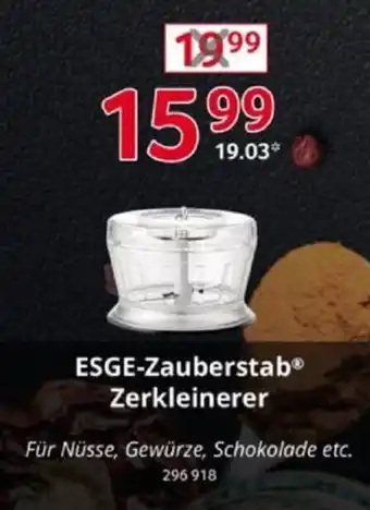 Selgros ESGE-Zauberstab Zerkleinerer Angebot