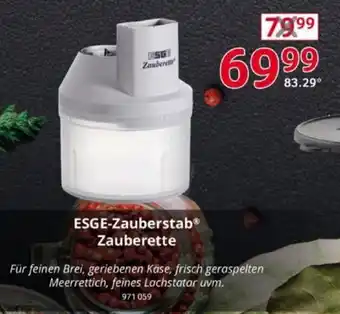 Selgros ESGE-Zauberstab Zauberette Angebot