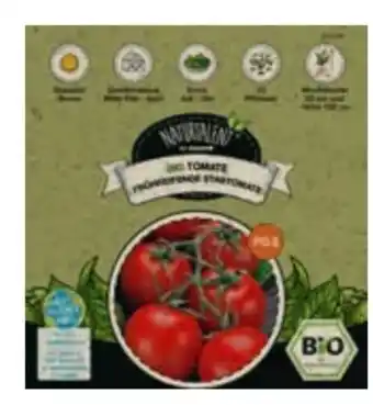 toom Baumarkt Naturtalent Bio-Tomaten Angebot