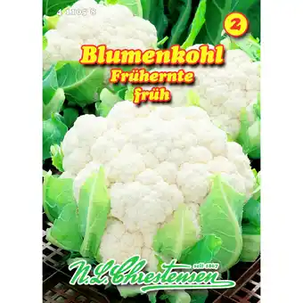 Sonderpreis Baumarkt Saatgut Blumenkohl Frühernte, reicht für ca. 70 Pflanzen Angebot