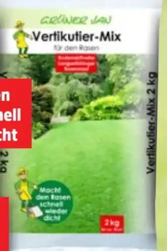 Thomas Philipps Vertikutier-Mix Angebot