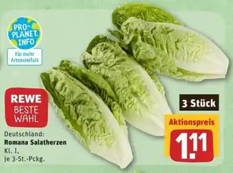 REWE Center Romana Salatherzen Angebot