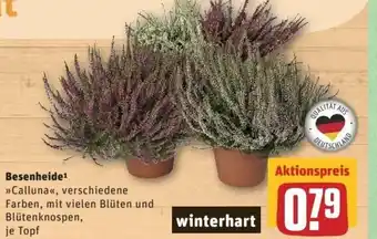 REWE Center Besenheide Angebot