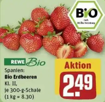 REWE Bio Erdbeeren 300 g Schale Angebot