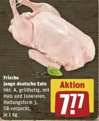 REWE Frische junge deutsche Ente 1 kg Angebot