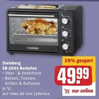 REWE Center Steinborg SB-3001 Backofen Angebot