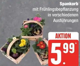 Edeka Spankorb Angebot
