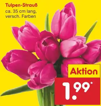 Netto Marken-Discount Tulpen-Strauß Angebot