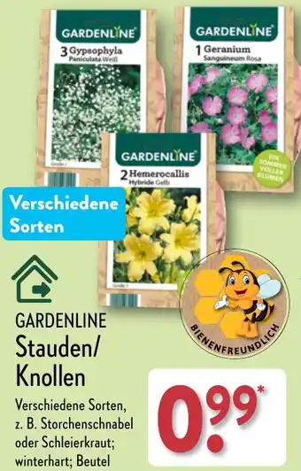 Aldi Nord GARDENLINE Stauden/ Knollen Angebot