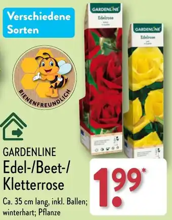Aldi Nord GARDENLINE Edel/Beet/ Kletterrose Angebot