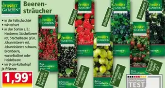 Norma FINEST GARDEN Beerensträucher Angebot