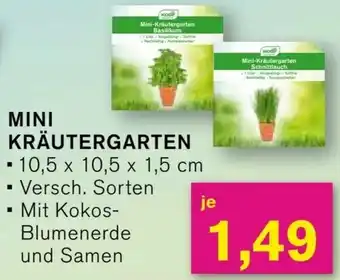 KODi MINI KRÄUTERGARTEN Angebot