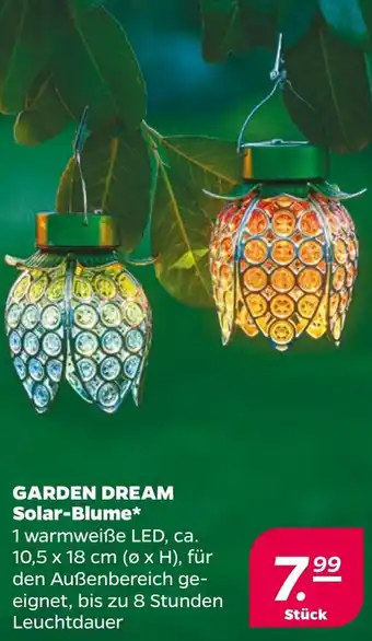 NETTO GARDEN DREAM Solar-Blume Angebot