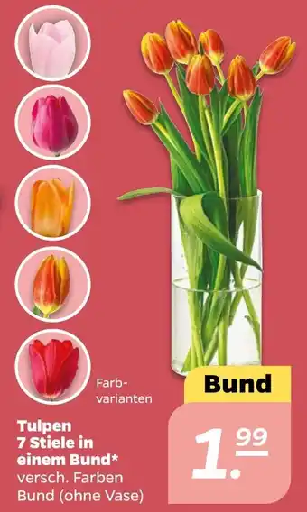 NETTO Tulpen 7 Stiele in einem Bund Angebot