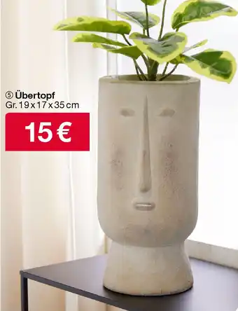 Woolworth Übertopf Angebot