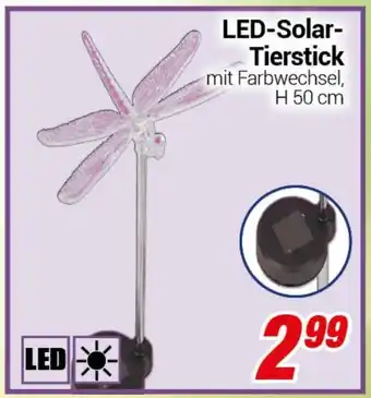 CENTERSHOP LED-Solar Tierstick Angebot