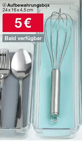 Woolworth Aufbewahrungsbox Angebot