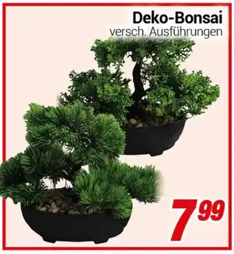 CENTERSHOP Deko-Bonsai Angebot