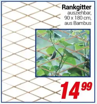 CENTERSHOP Rankgitter Angebot