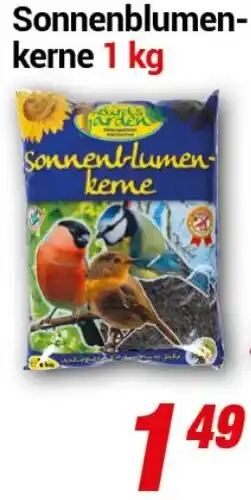 CENTERSHOP Bird's Garden Sonnenblumenkerne 1 kg Angebot