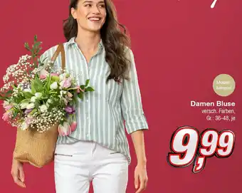 KiK Damen Bluse Angebot