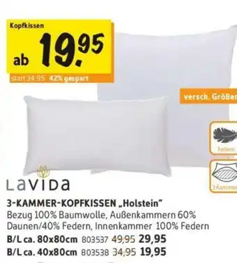 SCONTO Lavida 3 Kammer Kopfkissen Holstein Angebot