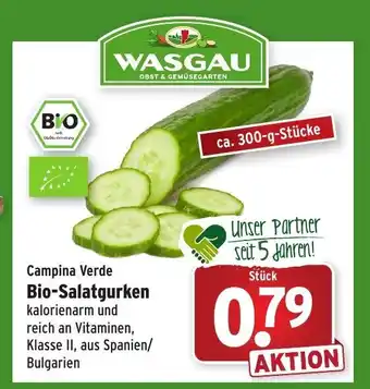 Wasgau Campina Verde Bio Salatgurken Angebot