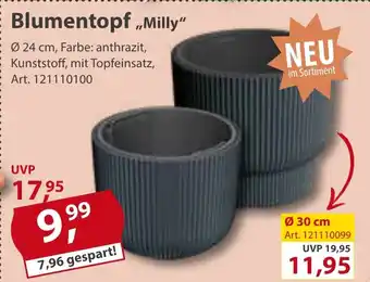 Sonderpreis Baumarkt Blumentopf ,Milly“ Angebot