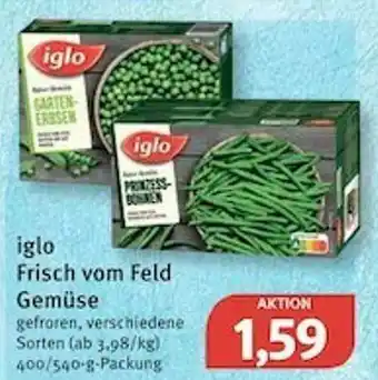 Feneberg Iglo Frisch Vom Feld Gemüse Angebot