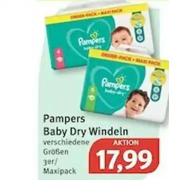 Feneberg Pampers Baby Dry Windeln Angebot