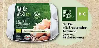 Famila Nord West Bio Eier Mit Bruderhahn-aufzucht Angebot