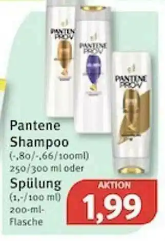 Feneberg Pantene Shampoo Spülung Angebot