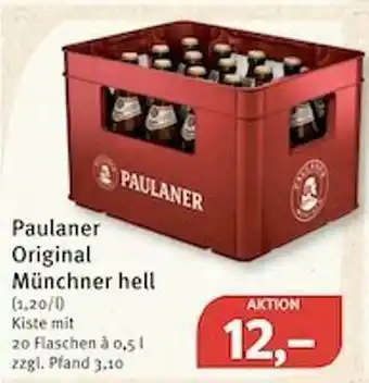 Feneberg Paulaner Original Münchner Hell Angebot