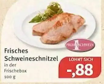 Feneberg Frisches Schweineschnitzel Angebot