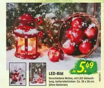 Floraland Led-bild Angebot