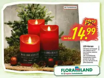 Floraland Led-kerzen Angebot