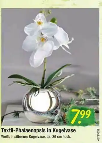 Floraland Textil-phalaenopsis In Kugelvase Angebot