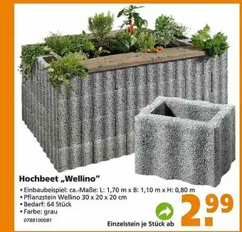 Globus Baumarkt Hochbeet „wellino” Angebot