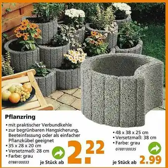 Globus Baumarkt Pflanzring Angebot