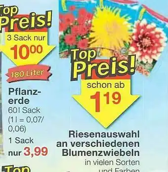 Jawoll Pflanzerde, Riesenauswahl An Verschiedenen Blumenzwiebeln Angebot