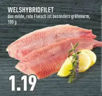 Marktkauf Welshybridfilet Angebot