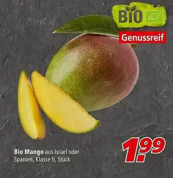 Marktkauf Bio Mango Angebot