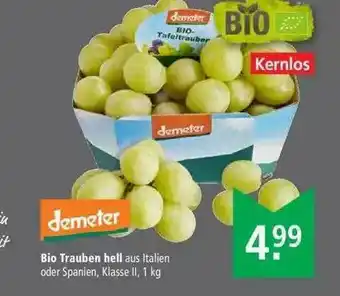 Marktkauf Bio Trauben Hell Demeter Angebot