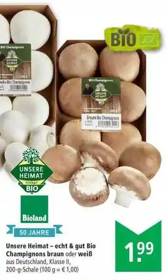 Marktkauf Unsere Heimat Bio Champignons Braun Oder Weiß Angebot