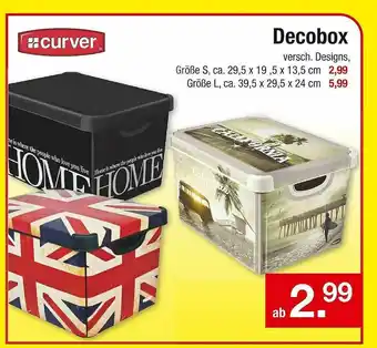 Zimmermann Curver Decobox Angebot