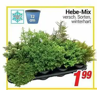 CENTERSHOP Hebe-mix Angebot